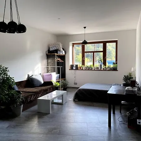 Lägenhet Apartman V Prvorepublikove Vile Zelezny Brod